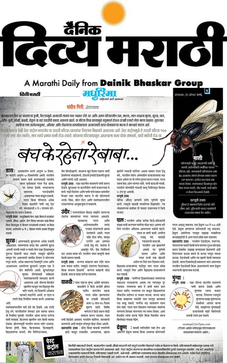 24x7PestManagementServices